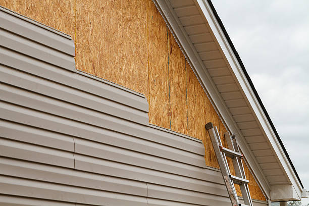 Professional Siding Inspection technician working in Aurora, IL